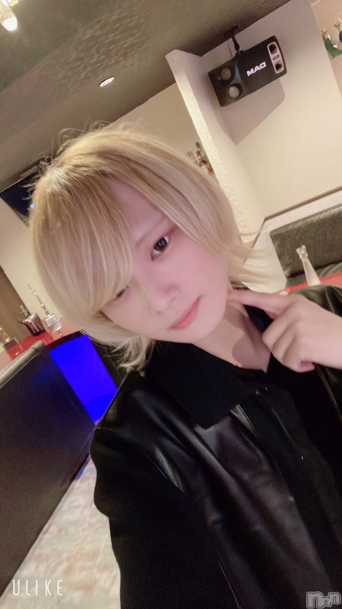 ��Į�ۥ��ȡ��ܡ������С�A151(�����������ݥ���) ��2024ǯ12��15���̥�֥����־�����С����ǡ���