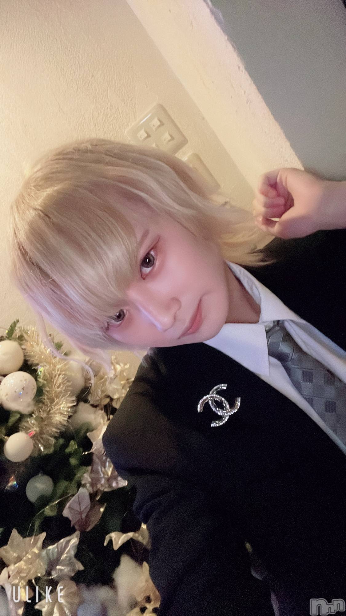 ��Į�ۥ��ȡ��ܡ������С�A151(�����������ݥ���) ��2024ǯ12��20���̥�֥����ֶ�������