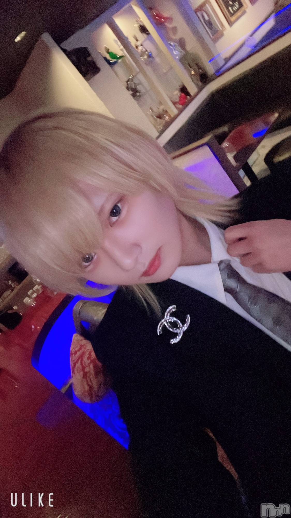 ��Į�ۥ��ȡ��ܡ������С�A151(�����������ݥ���) ��2025ǯ1��31���̥�֥�����������������