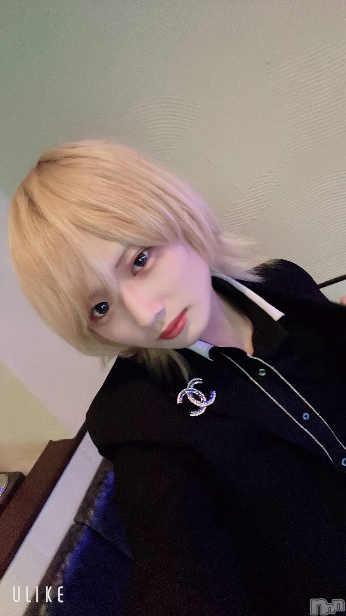 ��Į�ۥ��ȡ��ܡ������С�A151(�����������ݥ���) ��2025ǯ2��2���̥�֥���������������������