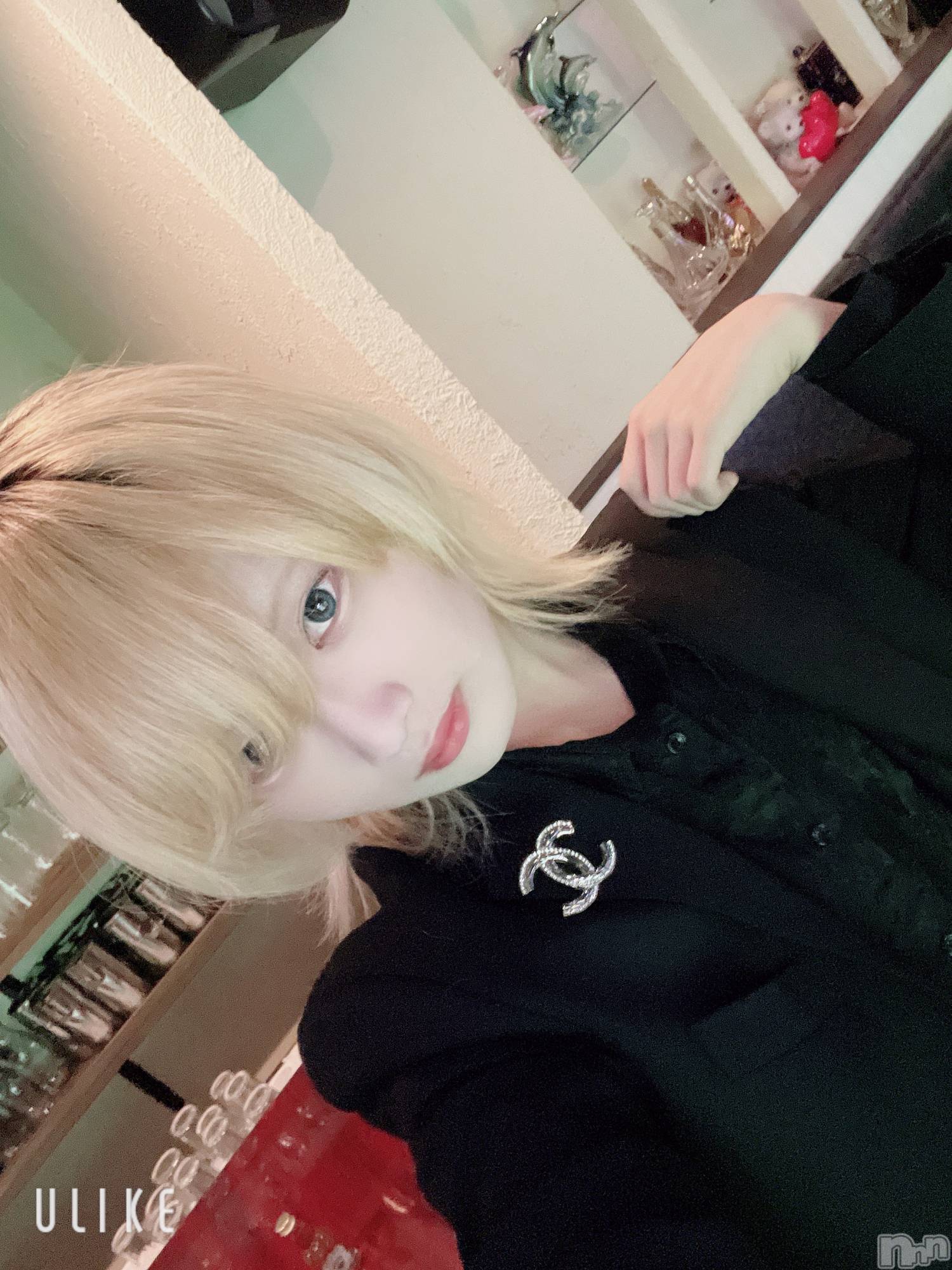 ��Į�ۥ��ȡ��ܡ������С�A151(�����������ݥ���) ��2025ǯ2��7���̥�֥����֥֥����ġ�