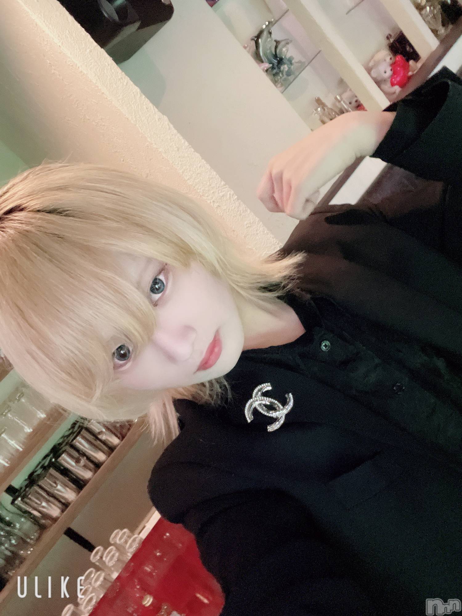 ��Į�ۥ��ȡ��ܡ������С�A151(�����������ݥ���) ��2025ǯ2��12���̥�֥����ֽжФ�����