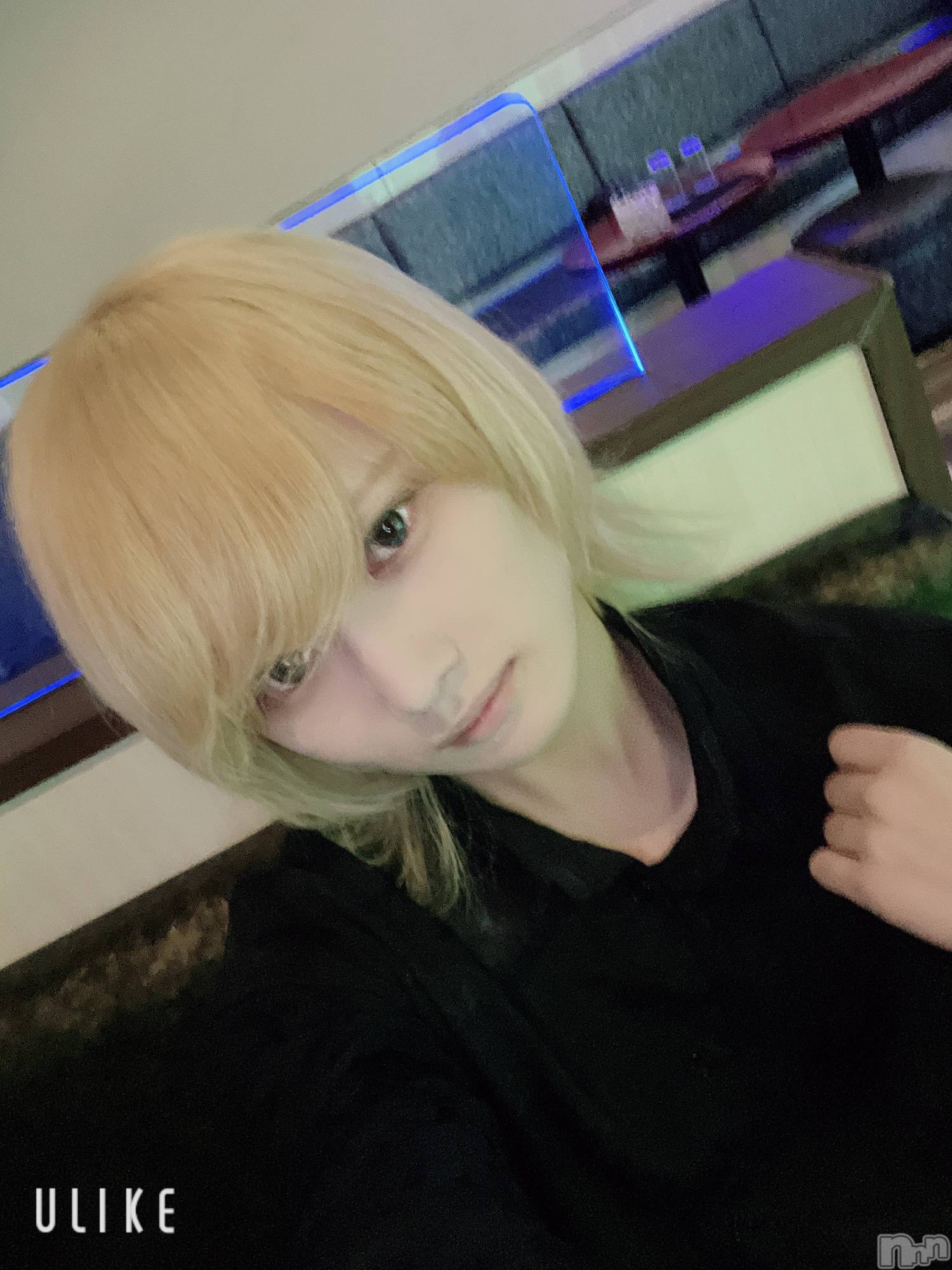 ��Į�ۥ��ȡ��ܡ������С�A151(�����������ݥ���) ��2025ǯ2��28���̥�֥���������������