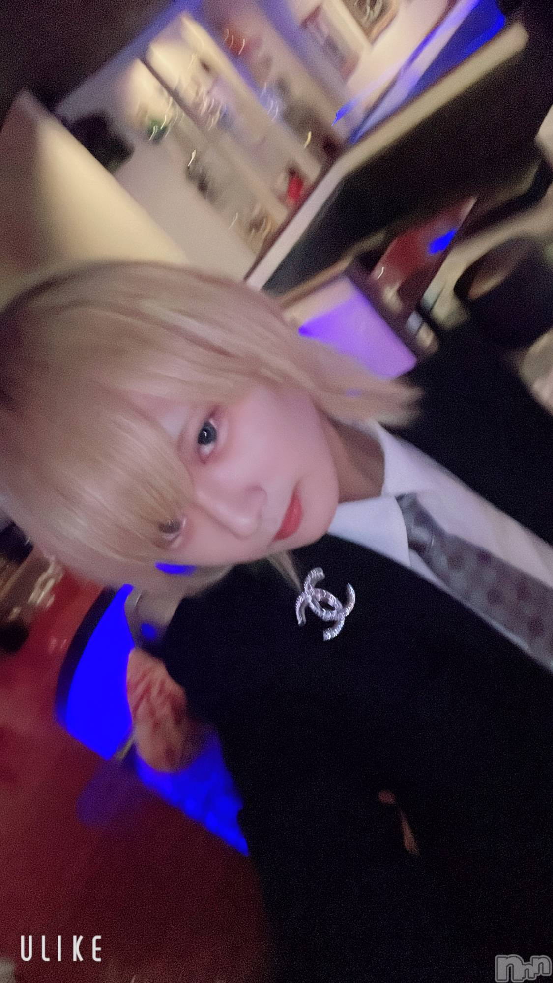 ��Į�ۥ��ȡ��ܡ������С�A151(�����������ݥ���) ��2025ǯ3��31���̥�֥����������������