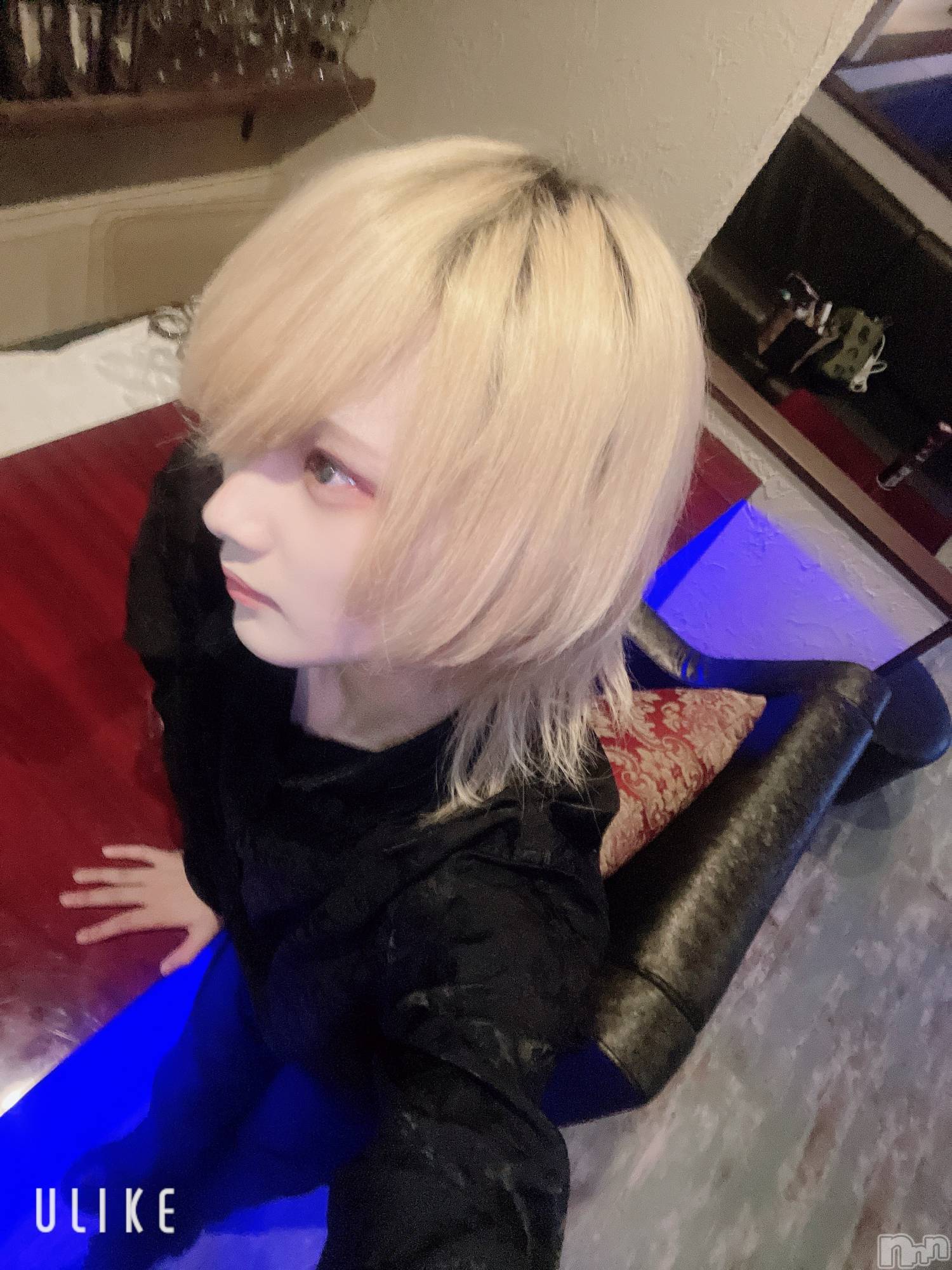 ��Į�ۥ��ȡ��ܡ������С�A151(�����������ݥ���) ��2025ǯ4��14���̥�֥����֥ɡ��ѥߥ����ǡ�