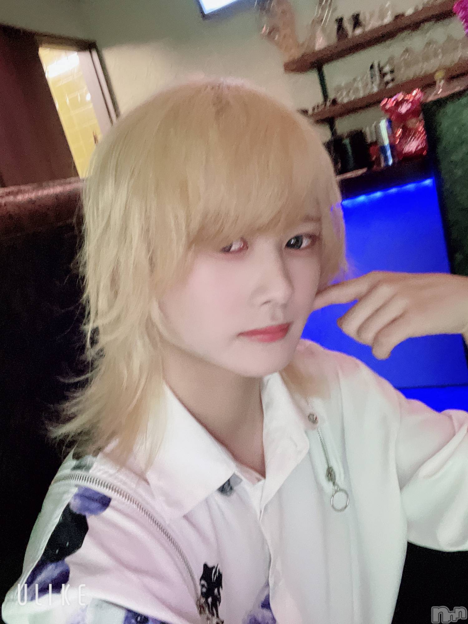 ��Į�ۥ��ȡ��ܡ������С�A151(�����������ݥ���) ��2025ǯ4��30���̥�֥���������������