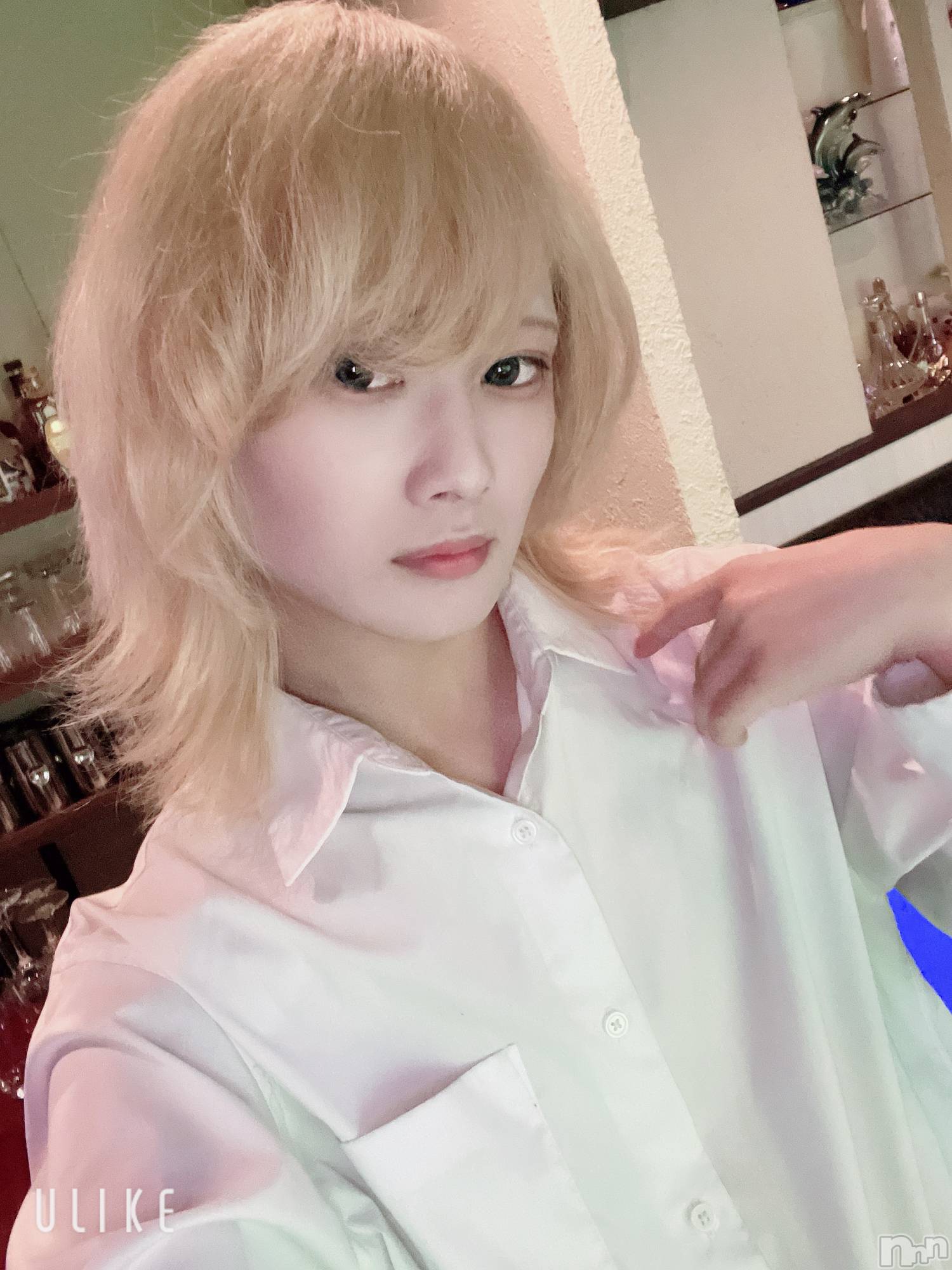 ��Į�ۥ��ȡ��ܡ������С�A151(�����������ݥ���) ��2025ǯ5��12���̥�֥����ֵ٤�����