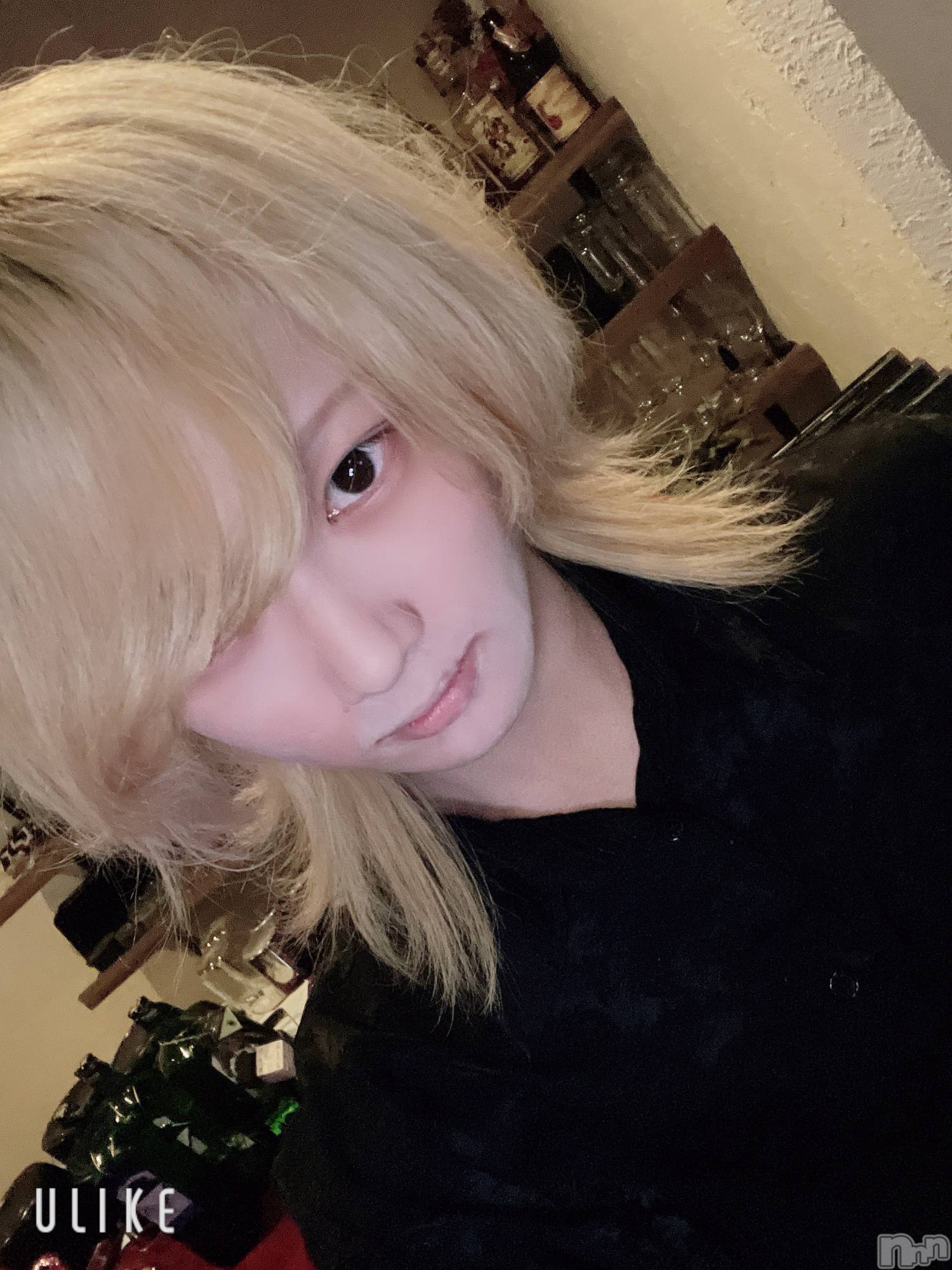 ��Į�ۥ��ȡ��ܡ������С�A151(�����������ݥ���) ��2025ǯ5��28���̥�֥����֥ѥ��㤷����