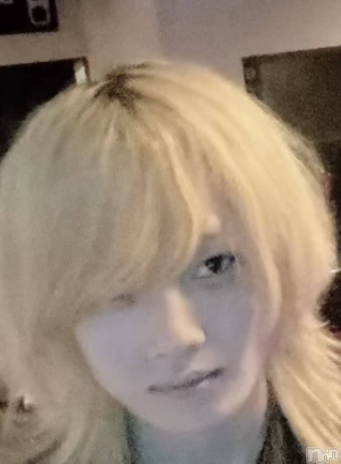 ��Į�ۥ��ȡ��ܡ������С�A151(�����������ݥ���) ��2025ǯ5��29���̥�֥����֤�뤤������