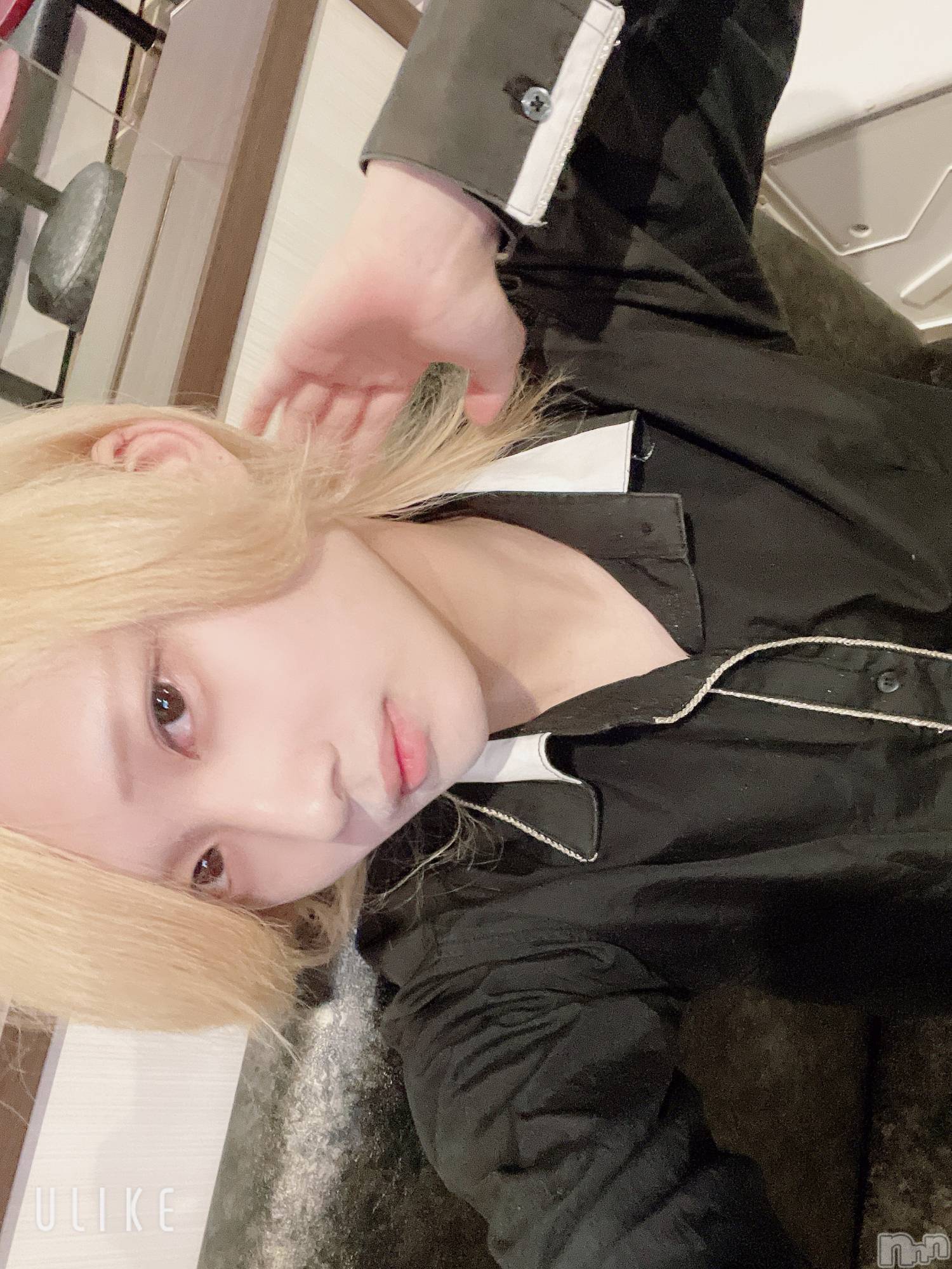 ��Į�ۥ��ȡ��ܡ������С�A151(�����������ݥ���) ��2025ǯ6��2���̥�֥��������������꤬�Ȥ���