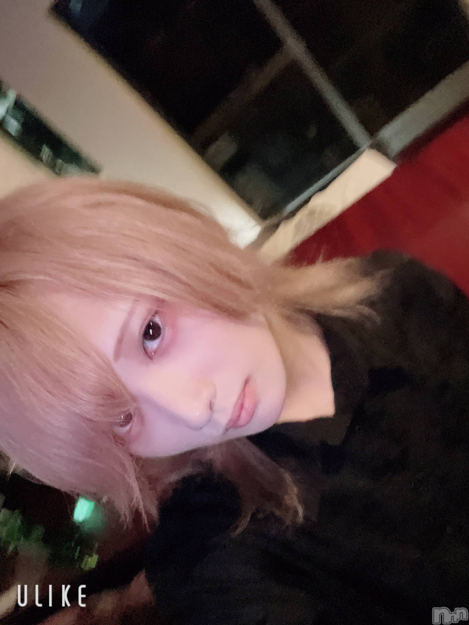 ��Į�ۥ��ȡ��ܡ������С�A151(�����������ݥ���) ��2025ǯ6��23���̥�֥����ְ��⤦��