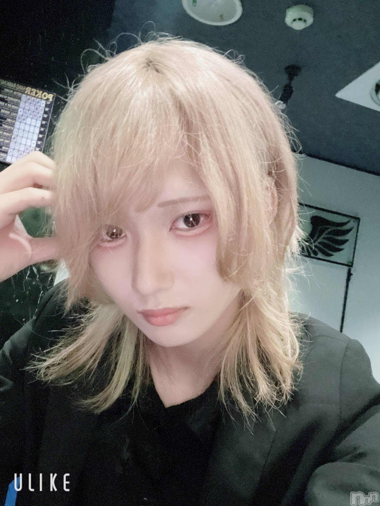 ��Į�ۥ��ȡ��ܡ������С�A151(�����������ݥ���) ��2025ǯ6��30���̥�֥�������������