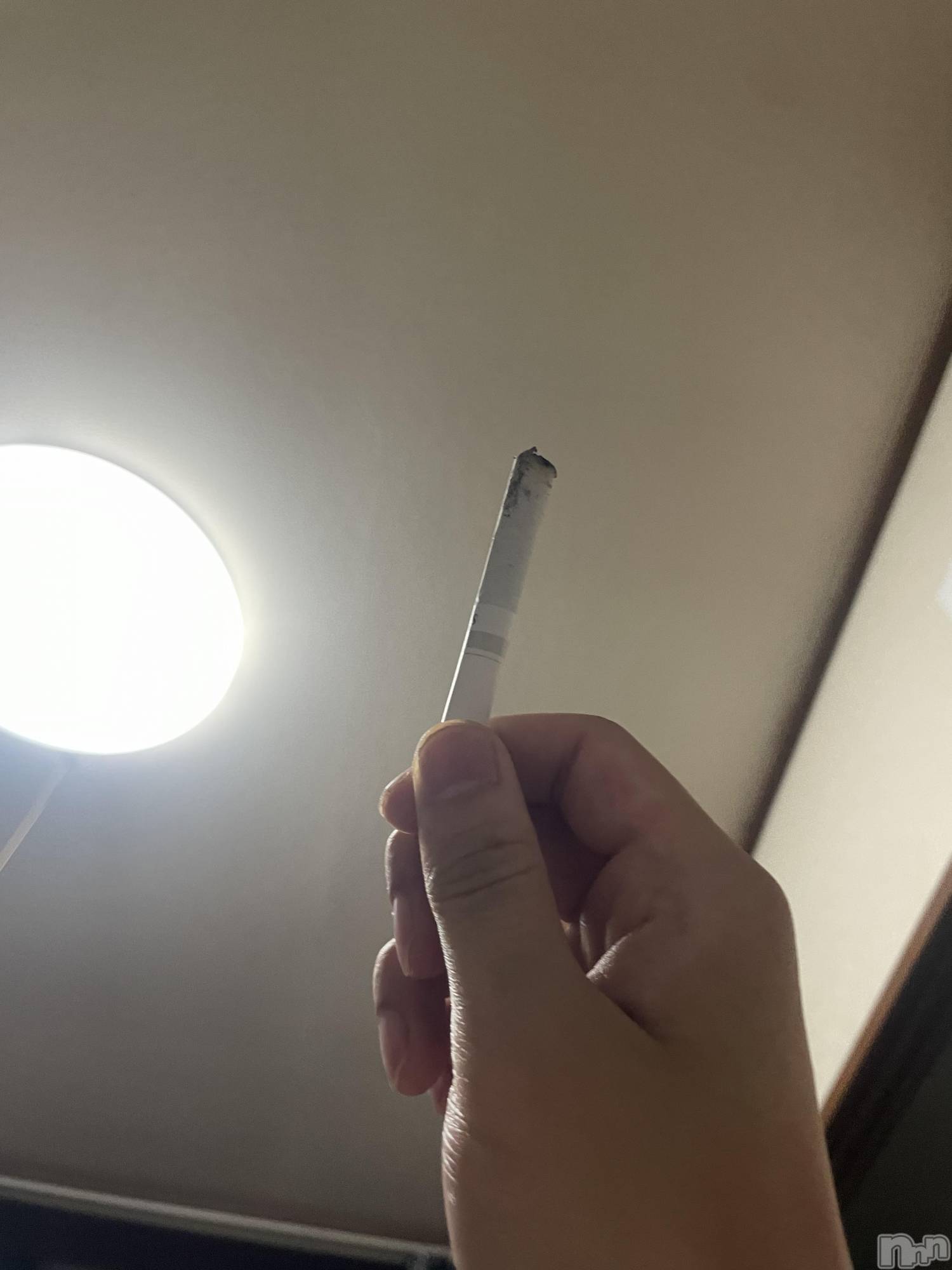 ��Į�ۥ��ȡ��ܡ������С�A151(�����������ݥ���) ��2025ǯ7��12���̥�֥����ֱ����ۤ��ޤ�����