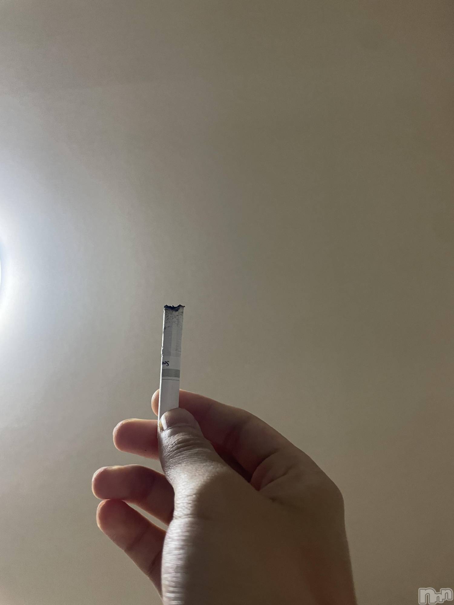 ��Į�ۥ��ȡ��ܡ������С�A151(�����������ݥ���) ��2025ǯ7��12���̥�֥����֤ޤ������ۤ��ޤ�����