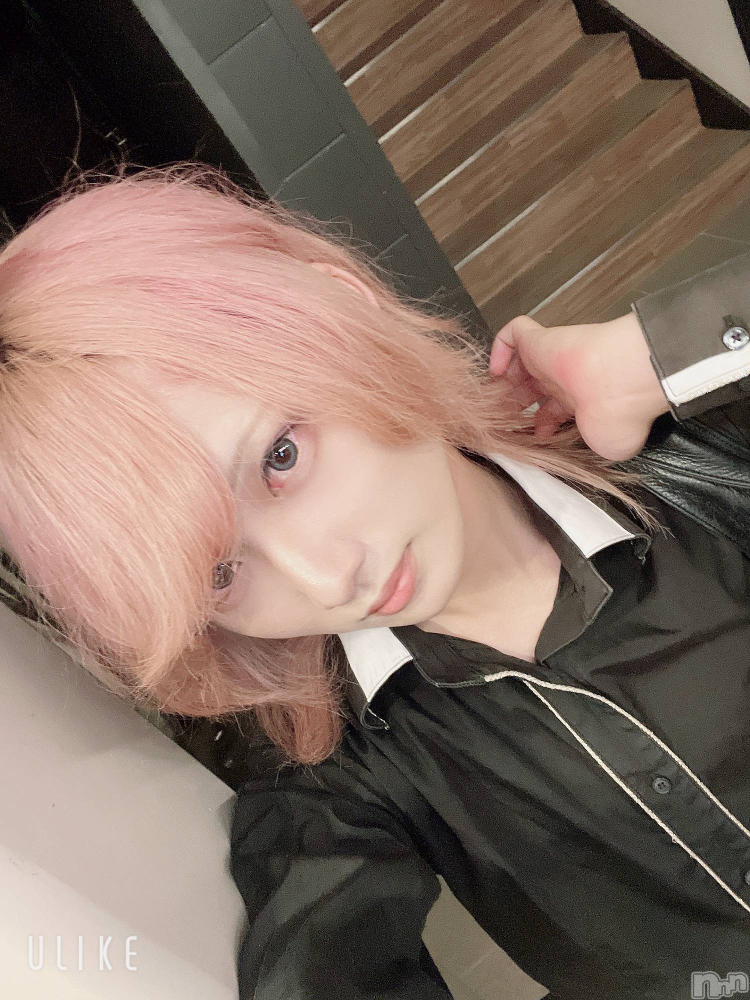 ��Į�ۥ��ȡ��ܡ������С�A151(�����������ݥ���) ��2025ǯ7��17���̥�֥������ϸ����ä���