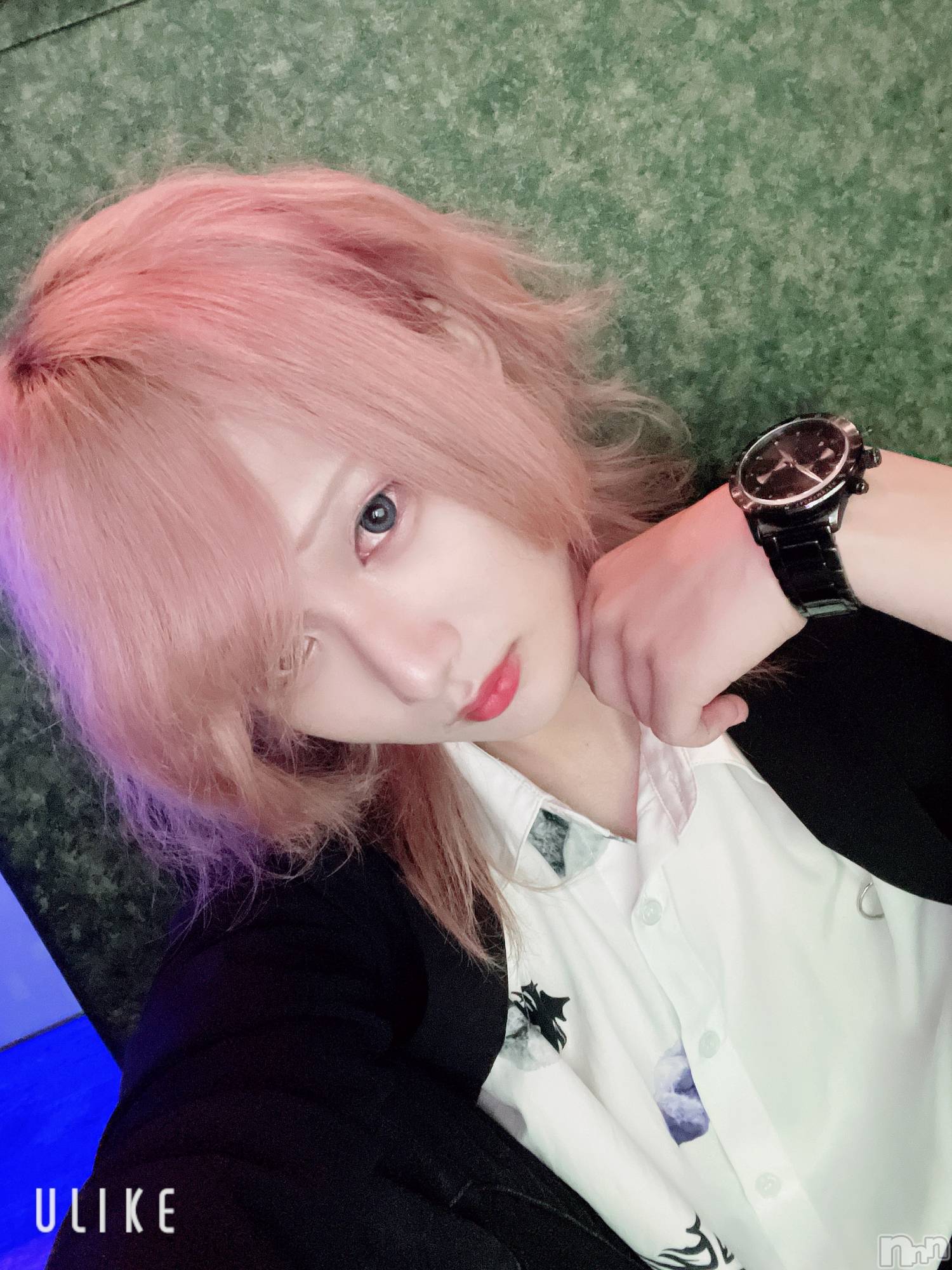 ��Į�ۥ��ȡ��ܡ������С�A151(�����������ݥ���) ��2025ǯ8��31���̥�֥�������������