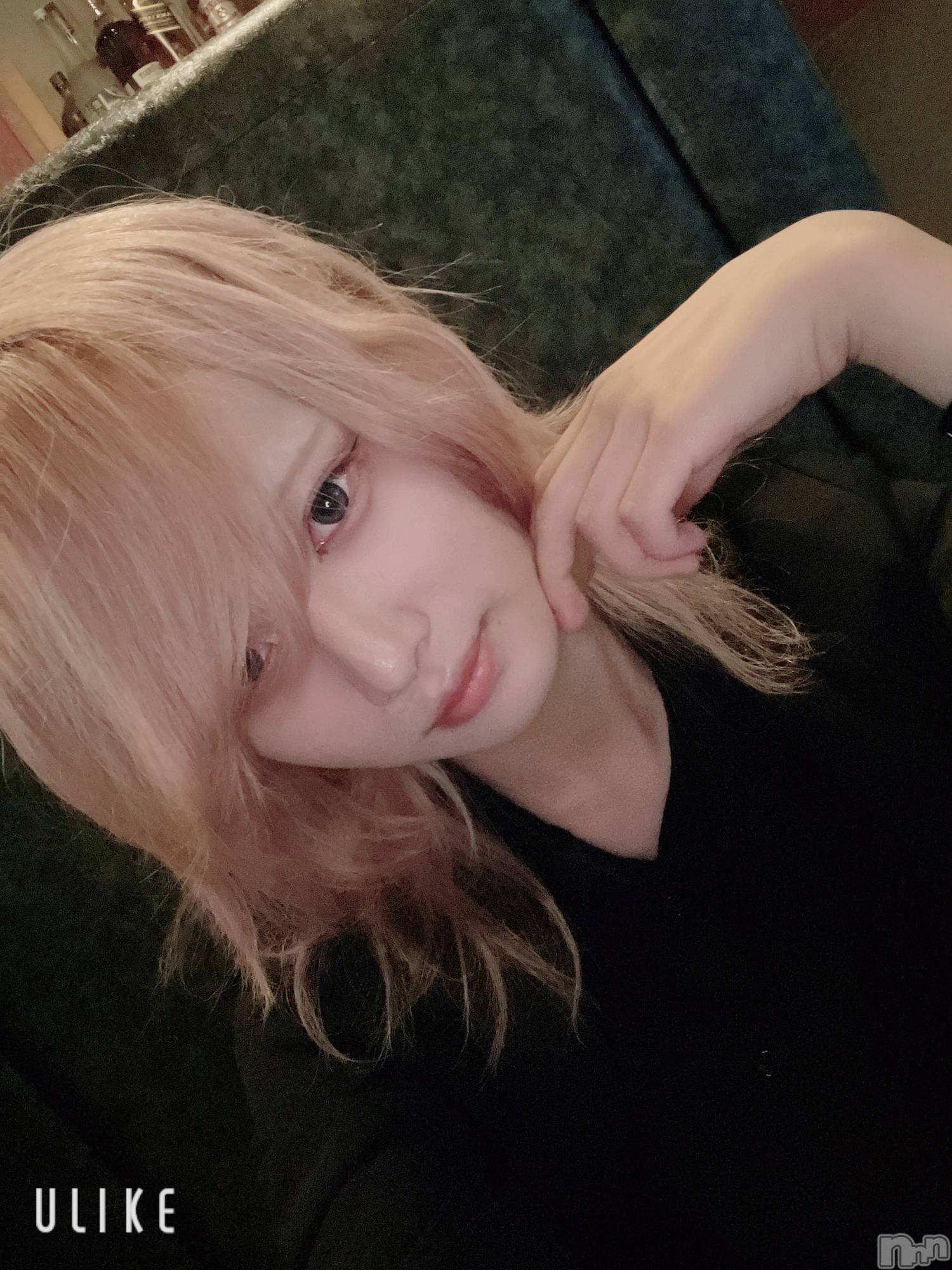 ��Į�ۥ��ȡ��ܡ������С�A151(�����������ݥ���) ��2025ǯ10��31���̥�֥����֤Ϥ�����������