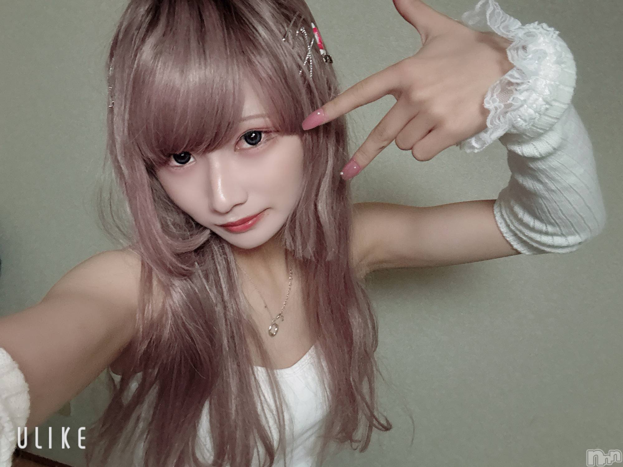 ��Į�ۥ��ȡ��ܡ������С�A151(�����������ݥ���) ��2025ǯ11��1���̥�֥����֤����Ǥ�����