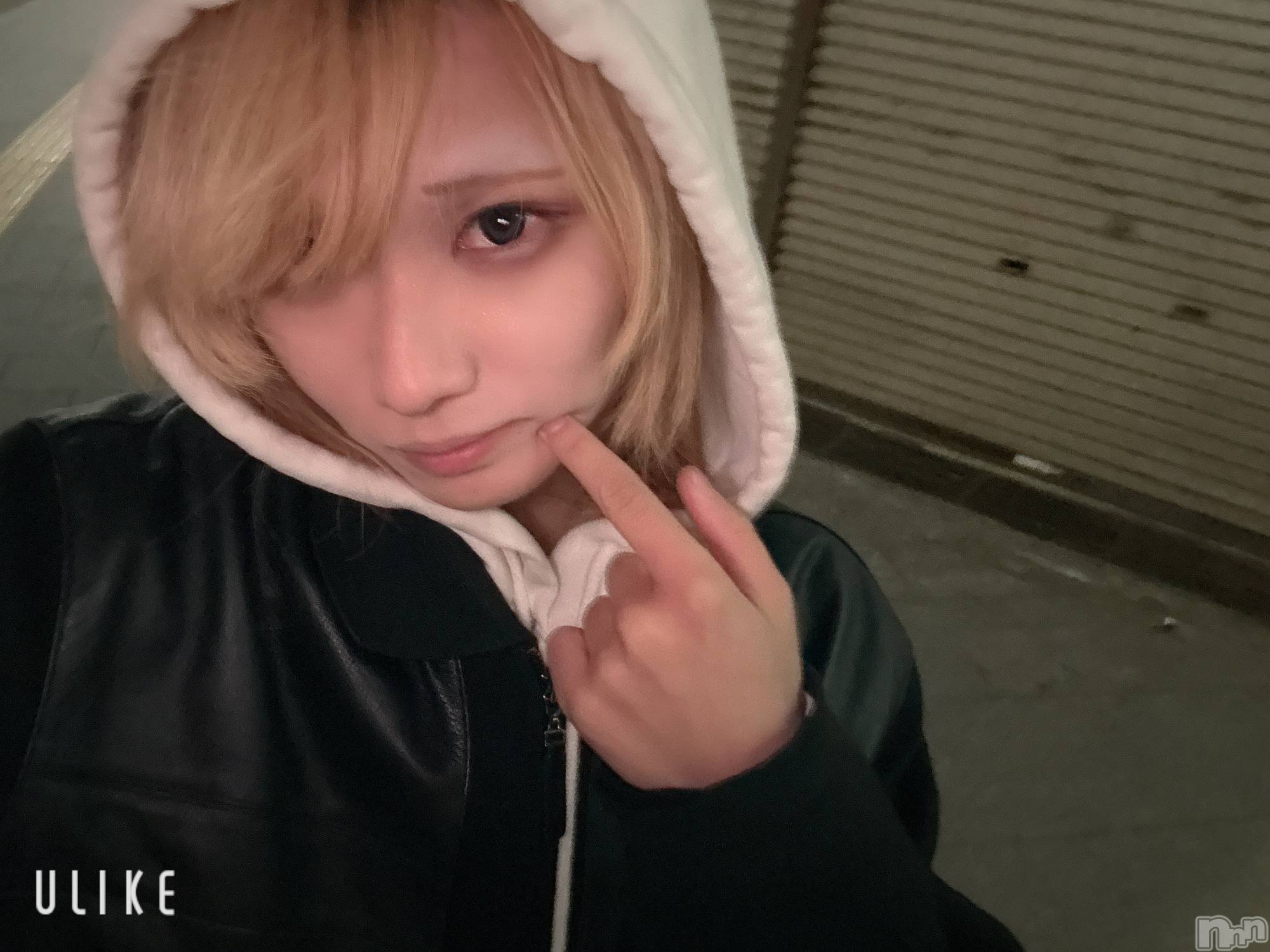 ��Į�ۥ��ȡ��ܡ������С�A151(�����������ݥ���) ��2025ǯ11��19���̥�֥����ֿ������ˡ�