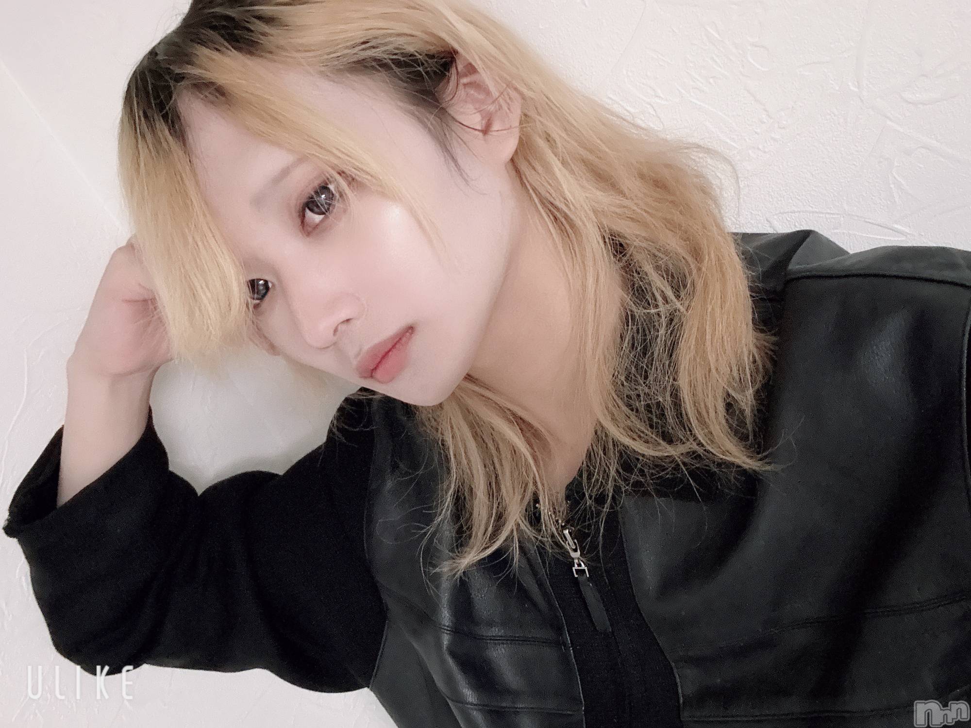 ��Į�ۥ��ȡ��ܡ������С�A151(�����������ݥ���) ��2026ǯ1��8���̥�֥����ֽжФ������