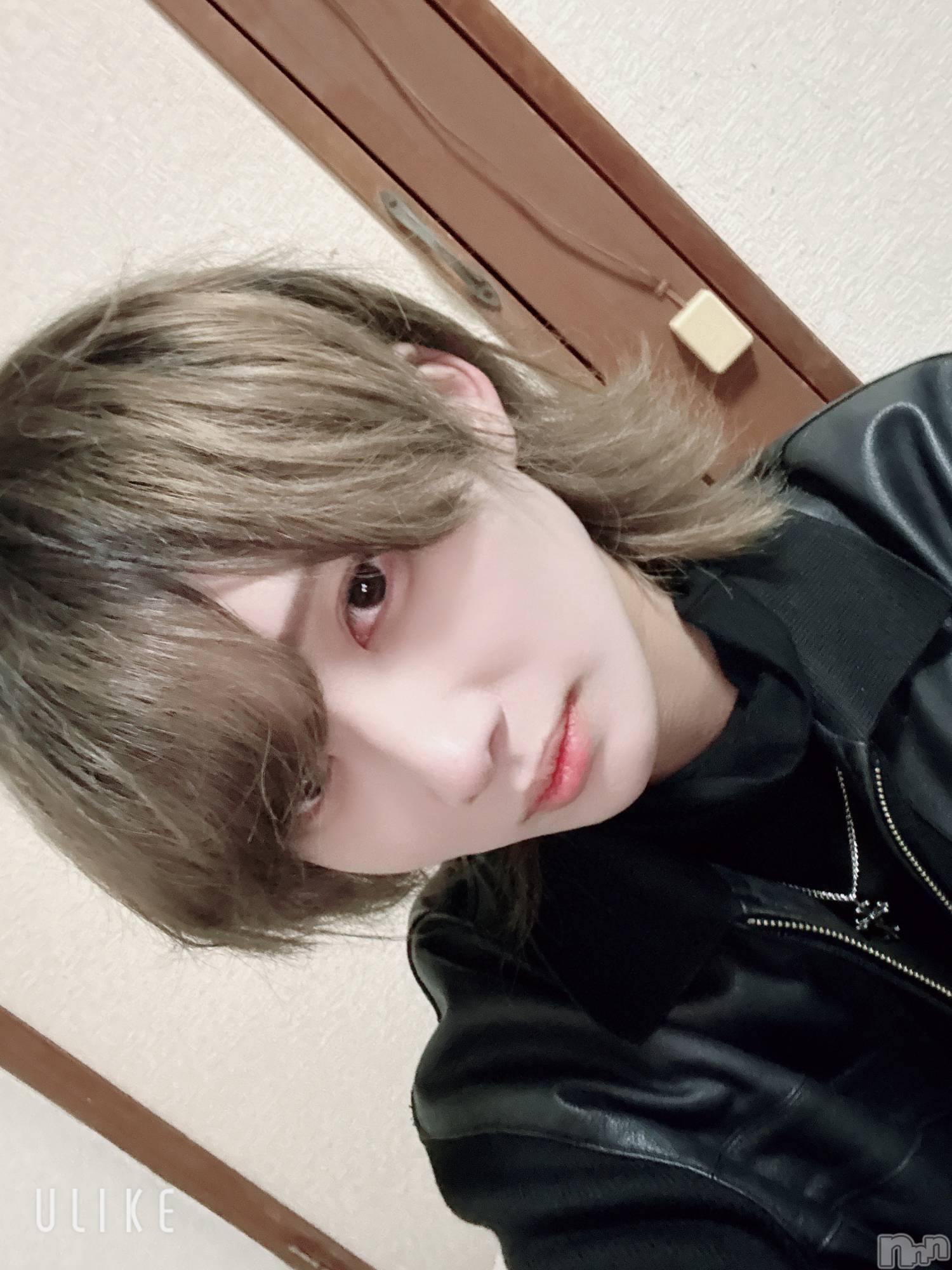 ��Į�ۥ��ȡ��ܡ������С�A151(�����������ݥ���) ��2026ǯ2��15���̥�֥����ֽжФ�����