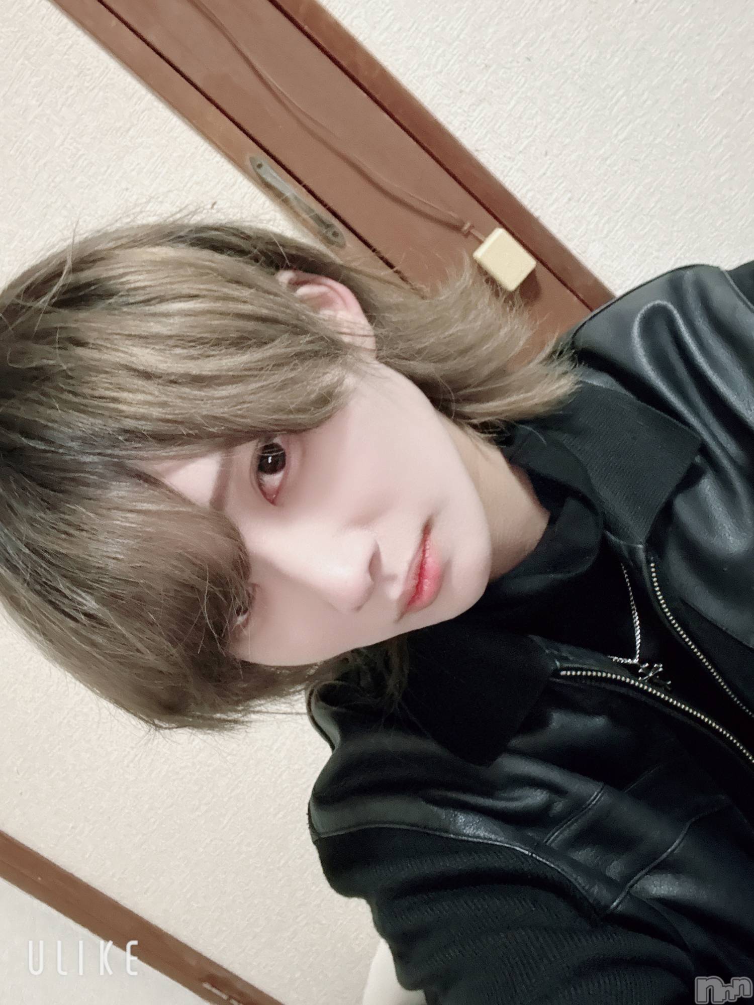 ��Į�ۥ��ȡ��ܡ������С�A151(�����������ݥ���) ��2026ǯ3��11���̥�֥����֤ۤ��줤����