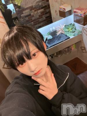 ��Į�ۥ��ȡ��ܡ������С�A151(�����������ݥ���) ��򥷥��2��11���̥�֥����ִ���Ū����������ä���