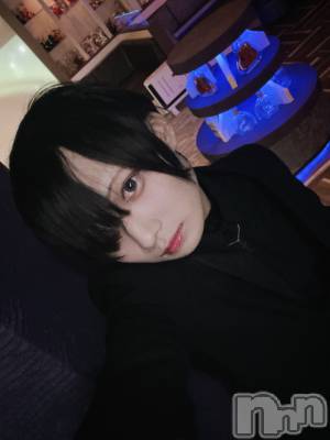 ��Į�ۥ��ȡ��ܡ������С�A151(�����������ݥ���) ��򥷥��2��22���̥�֥����ַ����»ҡ�