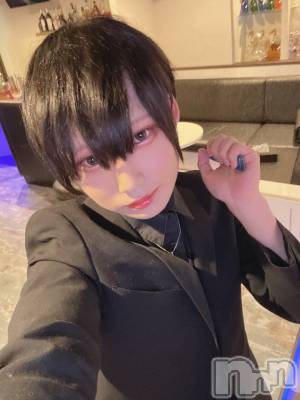 ��Į�ۥ��ȡ��ܡ������С�A151(�����������ݥ���) ��򥷥��3��5���̥�֥�����ȱ�������ä���