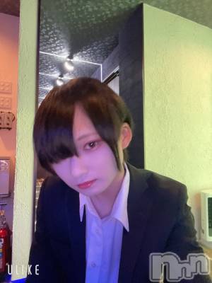 ��Į�ۥ��ȡ��ܡ������С�A151(�����������ݥ���) ��򥷥��4��3���̥�֥����ִ��ջ�Ӥʤ��ܵҤ򤹤��