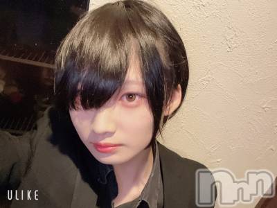 ��Į�ۥ��ȡ��ܡ������С�A151(�����������ݥ���) ��򥷥��4��19���̥�֥���������������