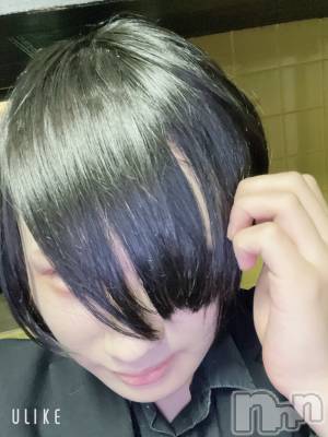 ��Į�ۥ��ȡ��ܡ������С�A151(�����������ݥ���) ��򥷥��4��22���̥�֥�����ȱ���ӤƤ�����