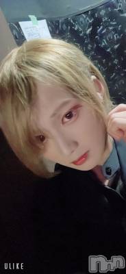 ��Į�ۥ��ȡ��ܡ������С�A151(�����������ݥ���) ��򥷥��8��2���̥�֥����ּ̥��