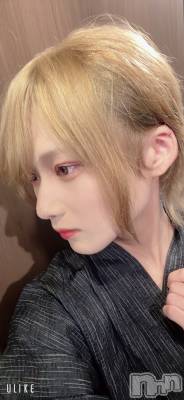 ��Į�ۥ��ȡ��ܡ������С�A151(�����������ݥ���) ��򥷥��8��5���̥�֥�����2���ܡ�