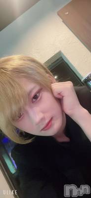 ��Į�ۥ��ȡ��ܡ������С�A151(�����������ݥ���) ��򥷥��8��7���̥�֥����ֳܺ�ꤿ����