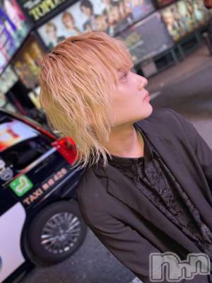 ��Į�ۥ��ȡ��ܡ������С�A151(�����������ݥ���) ��򥷥��5��30���̥�֥�����������������