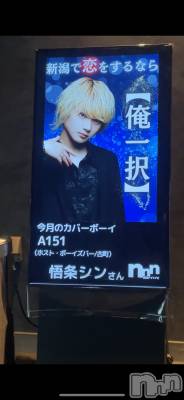 ��Į�ۥ��ȡ��ܡ������С�A151(�����������ݥ���) ��򥷥��6��17���̥�֥����ֻ����ԡ�