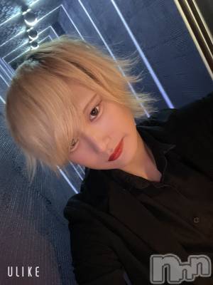 ��Į�ۥ��ȡ��ܡ������С�A151(�����������ݥ���) ��򥷥��8��9���̥�֥����֥ͥ��ڤ줹�ޤ��