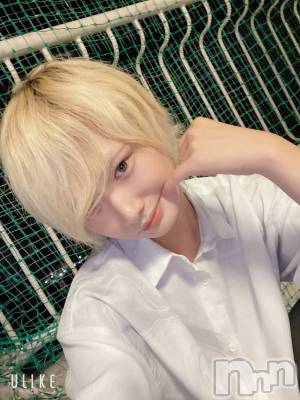 ��Į�ۥ��ȡ��ܡ������С�A151(�����������ݥ���) ��򥷥��9��14���̥�֥����֥ӥ���ξ岼��