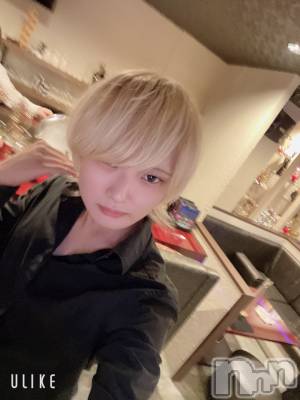 ��Į�ۥ��ȡ��ܡ������С�A151(�����������ݥ���) ��򥷥��10��12���̥�֥����������줤��