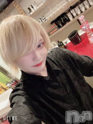 ��Į�ۥ��ȡ��ܡ������С�A151(�����������ݥ���) ��򥷥��11��10���̥�֥�������������