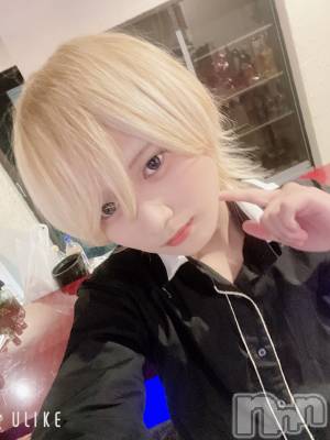 ��Į�ۥ��ȡ��ܡ������С�A151(�����������ݥ���) ��򥷥��11��14���̥�֥����ֿ�����