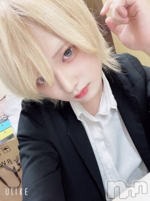 ��Į�ۥ��ȡ��ܡ������С�A151(�����������ݥ���) ��򥷥��11��27���̥�֥����ַ�ϳ��Ǥ���������