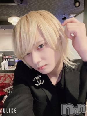 ��Į�ۥ��ȡ��ܡ������С�A151(�����������ݥ���) ��򥷥��11��28���̥�֥�������������