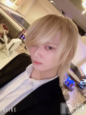 ��Į�ۥ��ȡ��ܡ������С�A151(�����������ݥ���) ��򥷥��11��30���̥�֥���������������