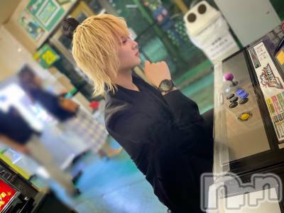 ��Į�ۥ��ȡ��ܡ������С�A151(�����������ݥ���) ��򥷥��12��6���̥�֥����������ϥ�������