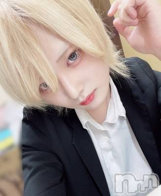 ��Į�ۥ��ȡ��ܡ������С�A151(�����������ݥ���) ��򥷥��12��16���̥�֥����֤��夭���