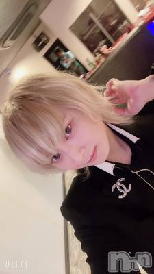 ��Į�ۥ��ȡ��ܡ������С�A151(�����������ݥ���) ��򥷥��12��22���̥�֥������������ʤ������