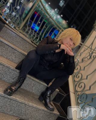 ��Į�ۥ��ȡ��ܡ������С�A151(�����������ݥ���) ��򥷥��1��6���̥�֥����֥С����ǡ��⤦���礤��