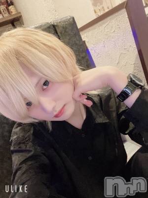 ��Į�ۥ��ȡ��ܡ������С�A151(�����������ݥ���) ��򥷥��1��9���̥�֥�����11�����ʤ���